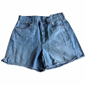 American Eagle Outfitters Light Blue Jean Shorts